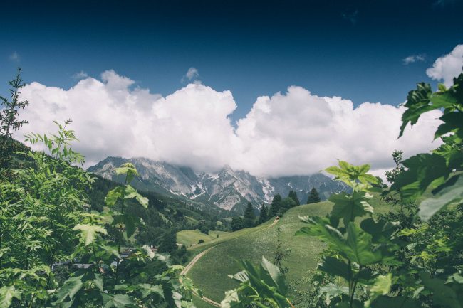 @felix_buechele_felixfoto, Dienten, Felix Büchele, Felixfoto, Hochkönig, Hochzeit, Salzburgerland, Steinbockalm, www.felixfoto.at