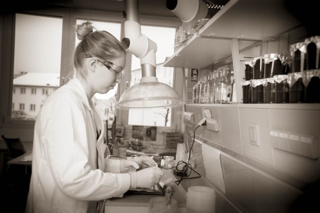 @felix_buechele_felixfoto, Berufsfotograf, Constantia, Felix, Felixfoto, IV-NÖ, Industrie, Industriellenvereinigung Niederösterreich, Produktionsbetrieb, WK-NÖ, Wirtschaftskammer Niederösterreich, www.felixfoto.at