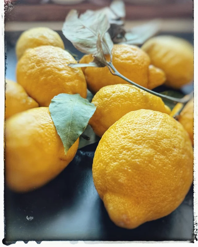 Limoncello oder Zitroneneis 😉